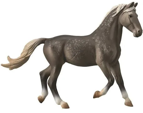 Oldenburg Mare Grey