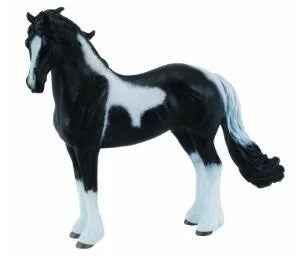 Barock Pinto Stallion