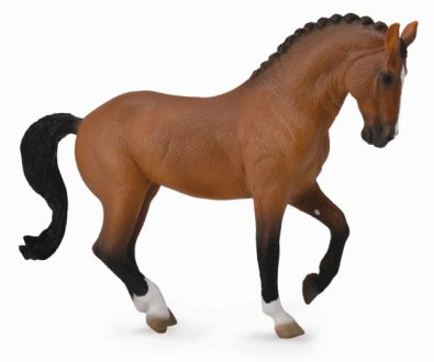 Hanoverian Mare Bay