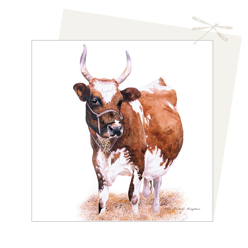 Ayrshire Cow Greeting Card