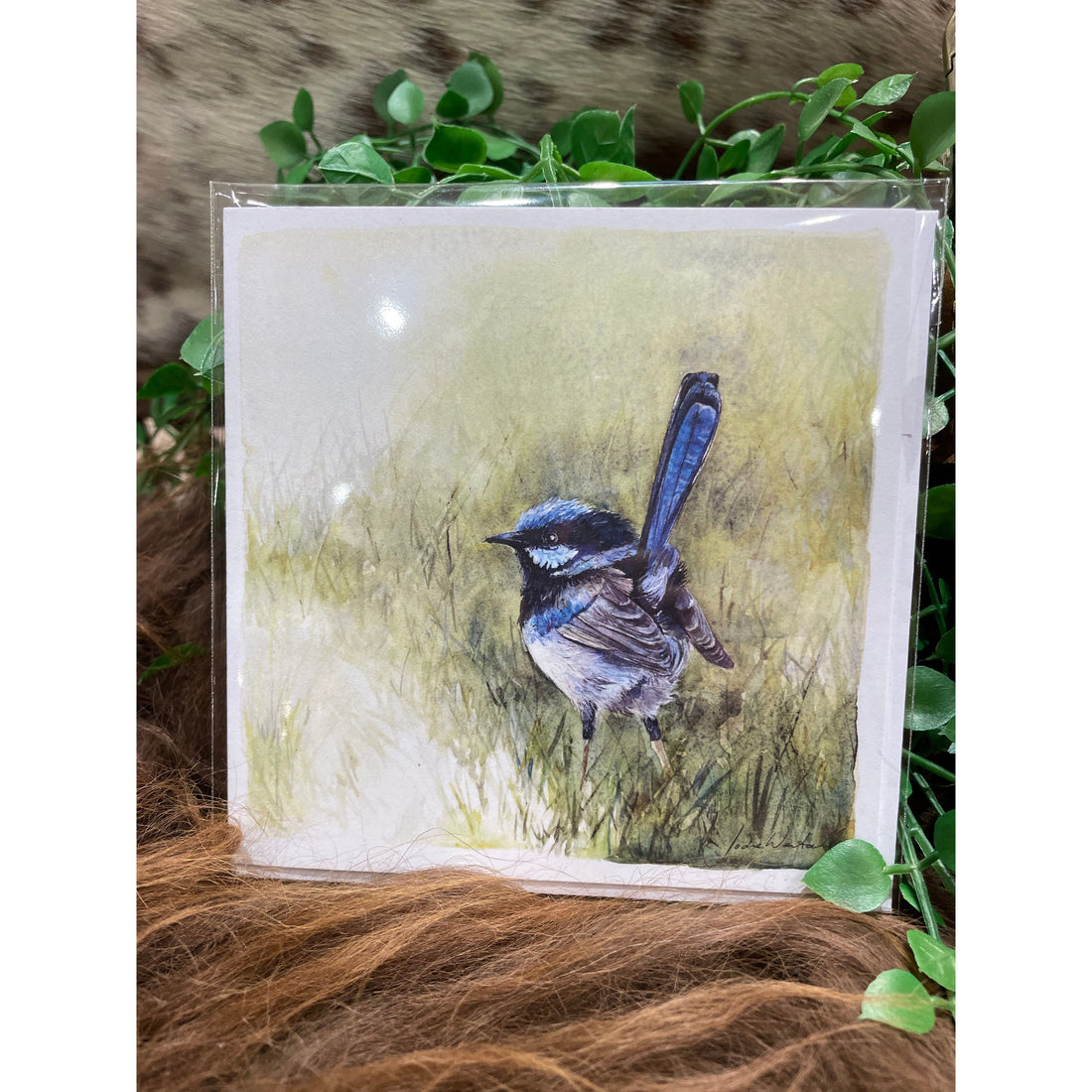 ‘Fleeting Moment’ Blue Wren - Greeting Card