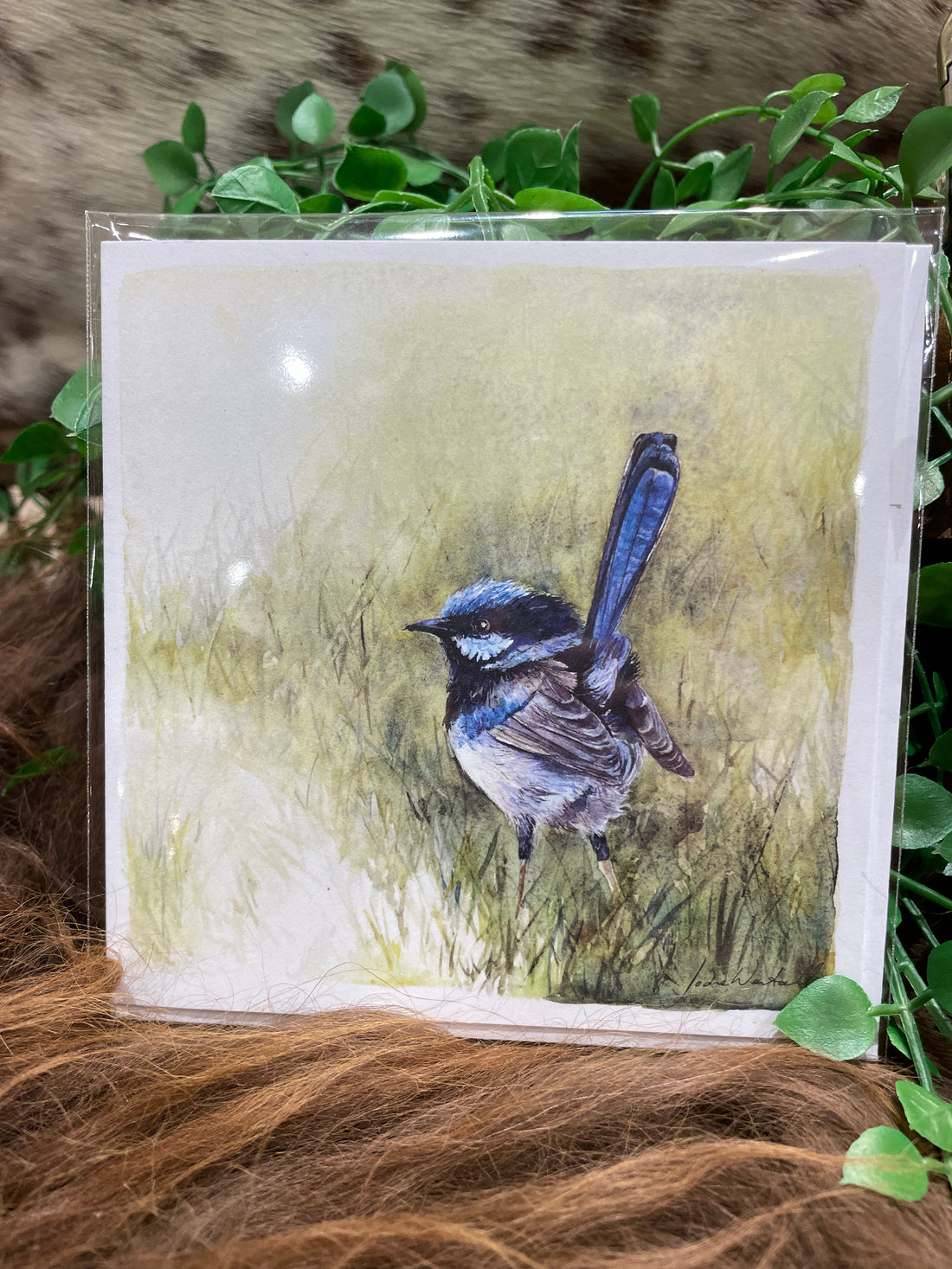 ‘Fleeting Moment’ Blue Wren - Greeting Card