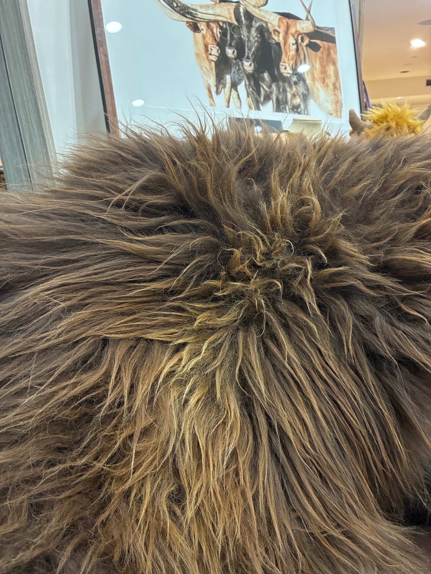 Icelandic Sheepskin 