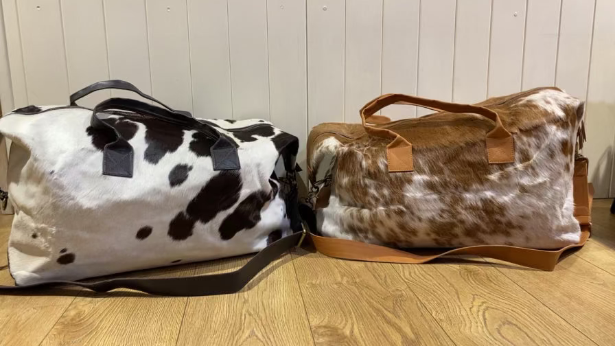 The Vacay Overnight Bag 