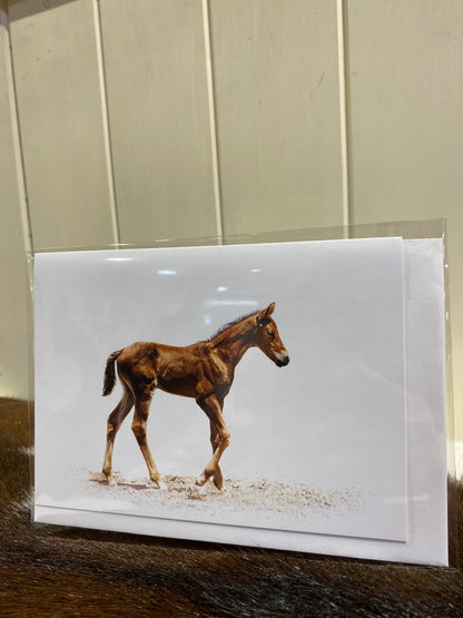 JO THIEME Single cards