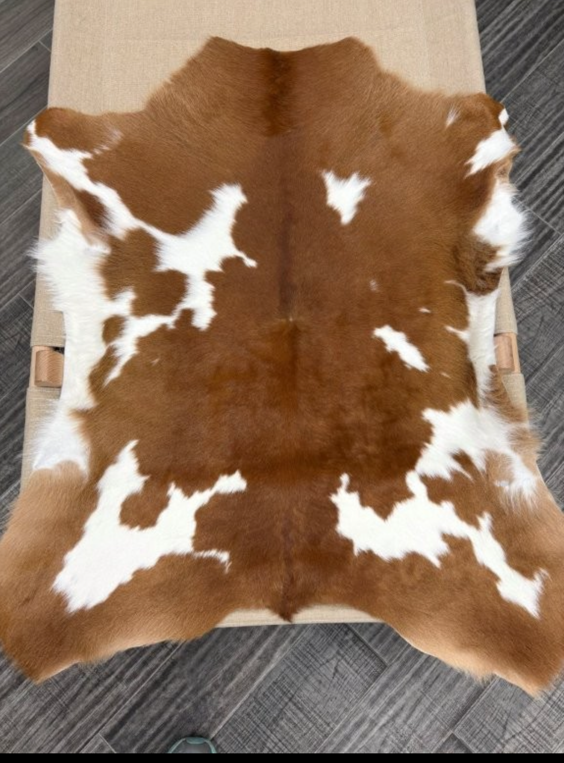 Calf Hide 