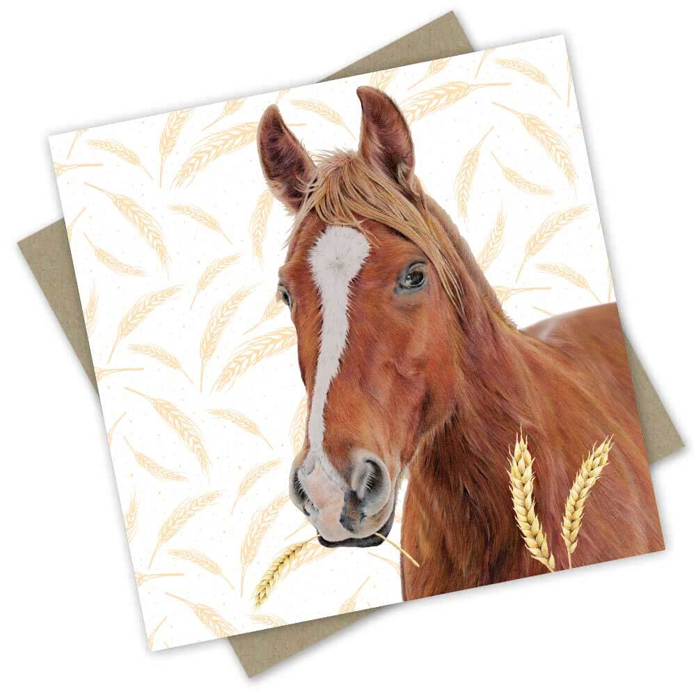 Farm friend: Horsey Horse