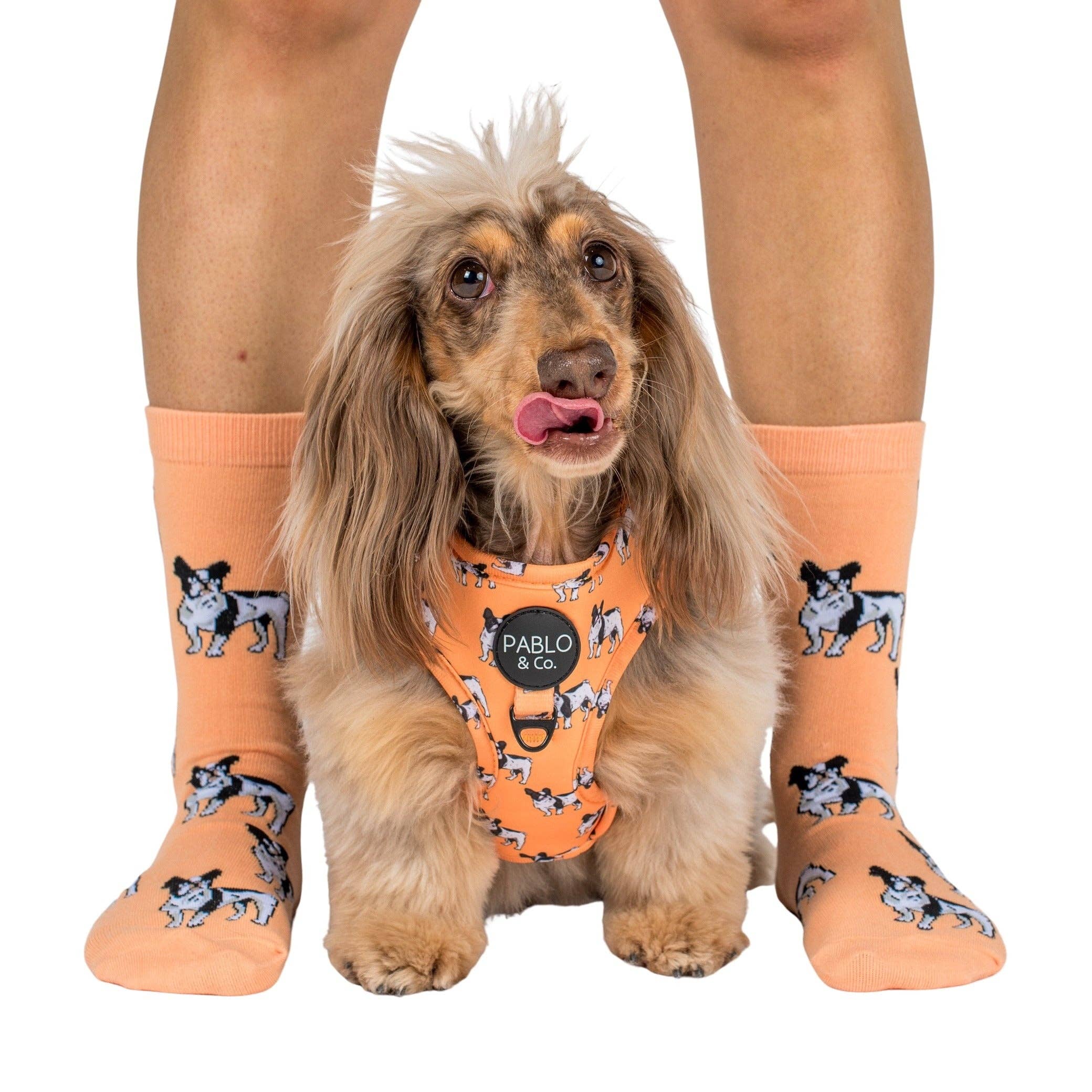 Dog Breed Socks