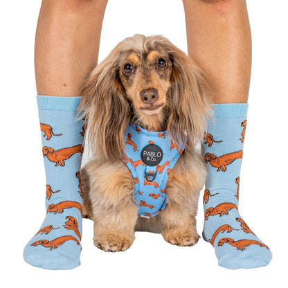 Dog Breed Socks