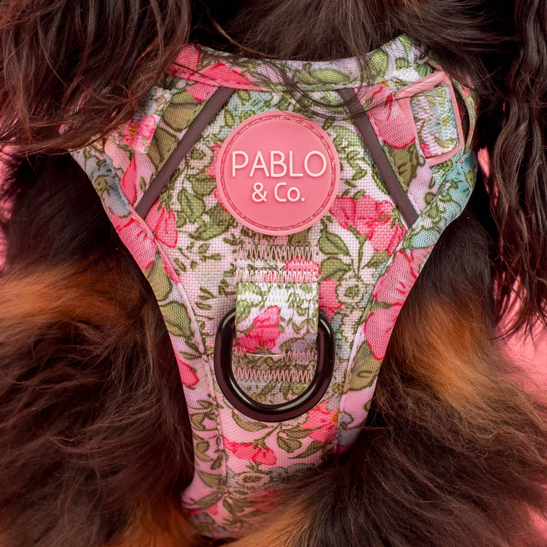 Flora &amp; Fern: No Pull Dog Adventure Harness