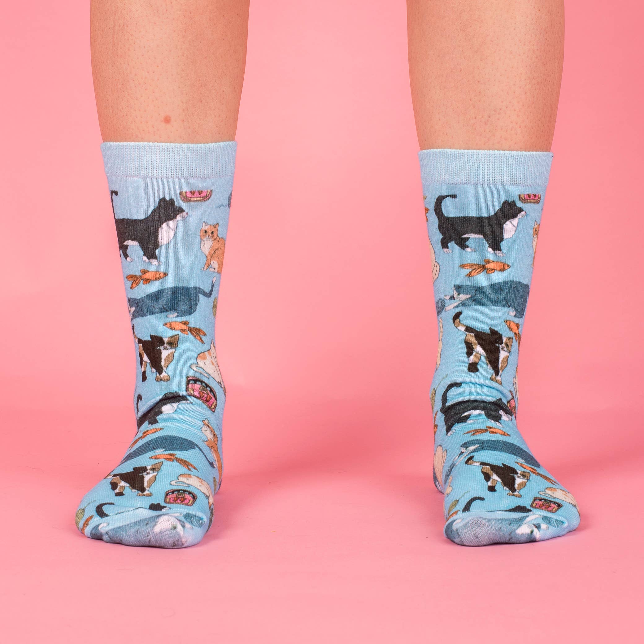 Meow Socks