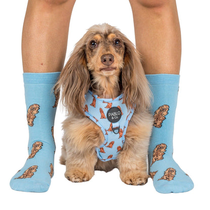 Dog Breed Socks