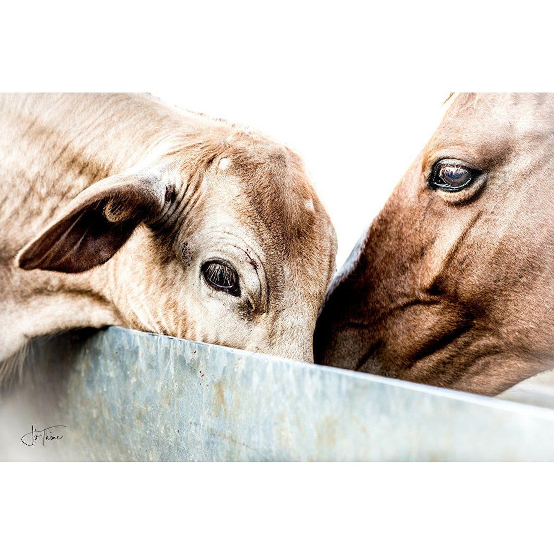 “Drinking Buddies” sold available to order (30/50).