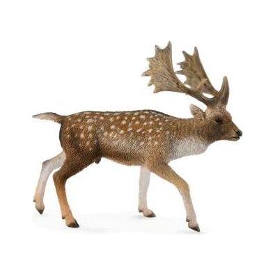 Fallow Deer