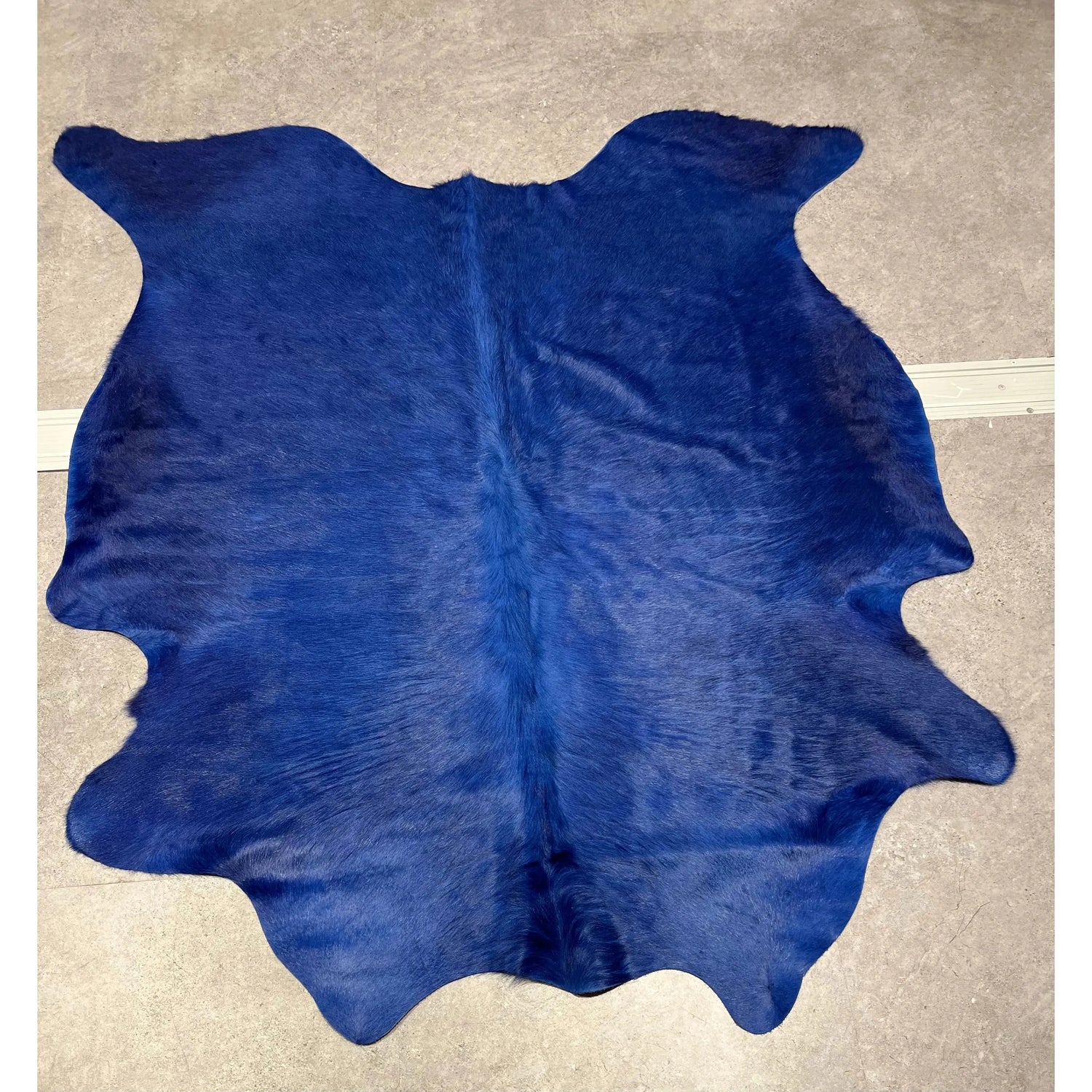 PRE ORDER Blue Cow Hide 