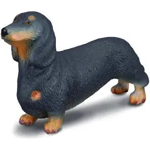 Dachshund Collecta