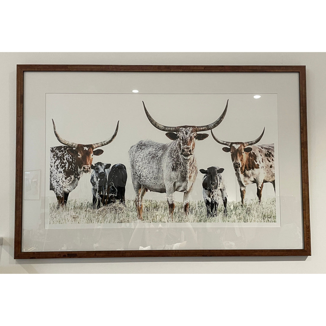 ‘Kilbeggan Cows &amp; Calves’ PLEASE CALL TO ORDER