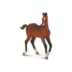 Quarter Horse Foal Collecta