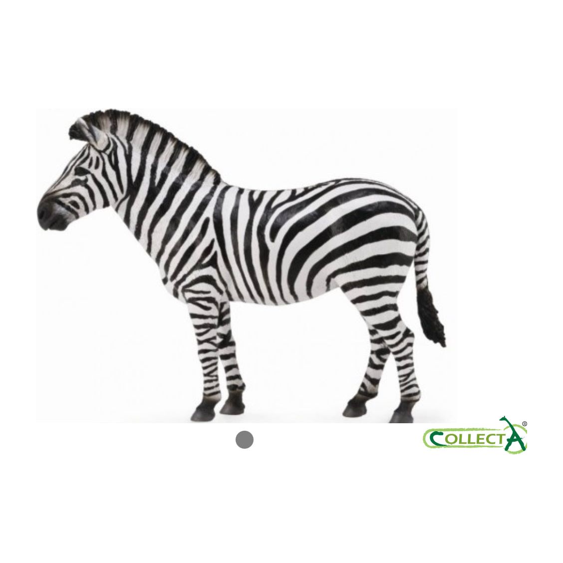 Zebra Collecta toy