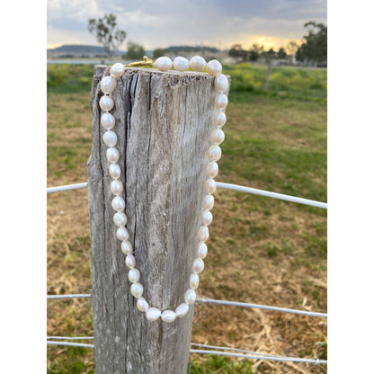 Freshwater potato pearl necklace with gold fob • gp1