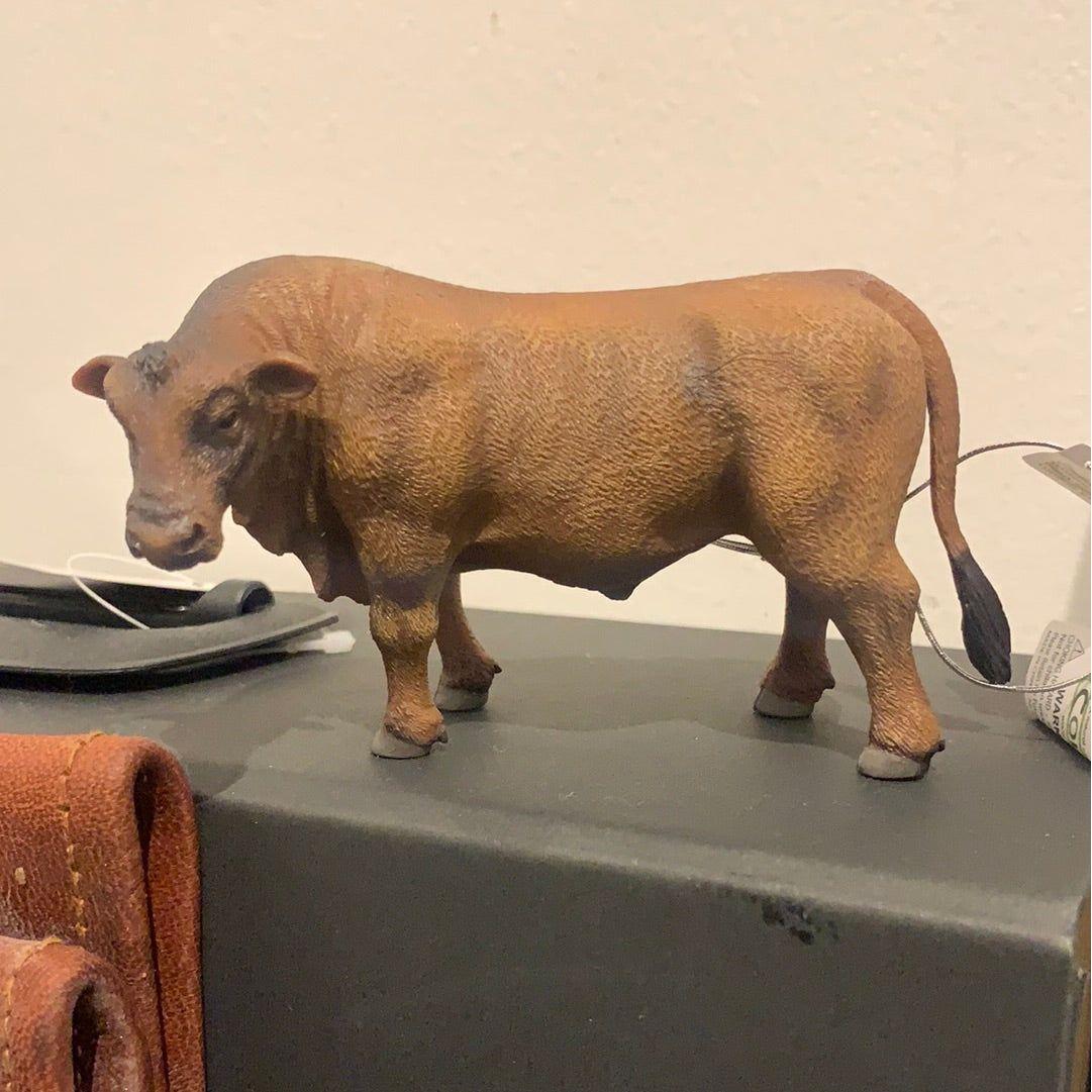 Angus Bull Collecta