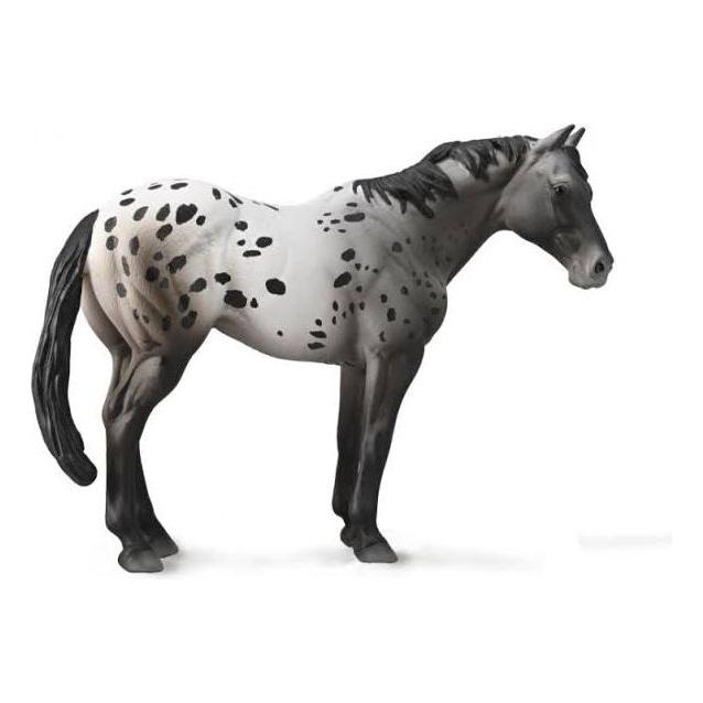 Appaloosa Blue Roan