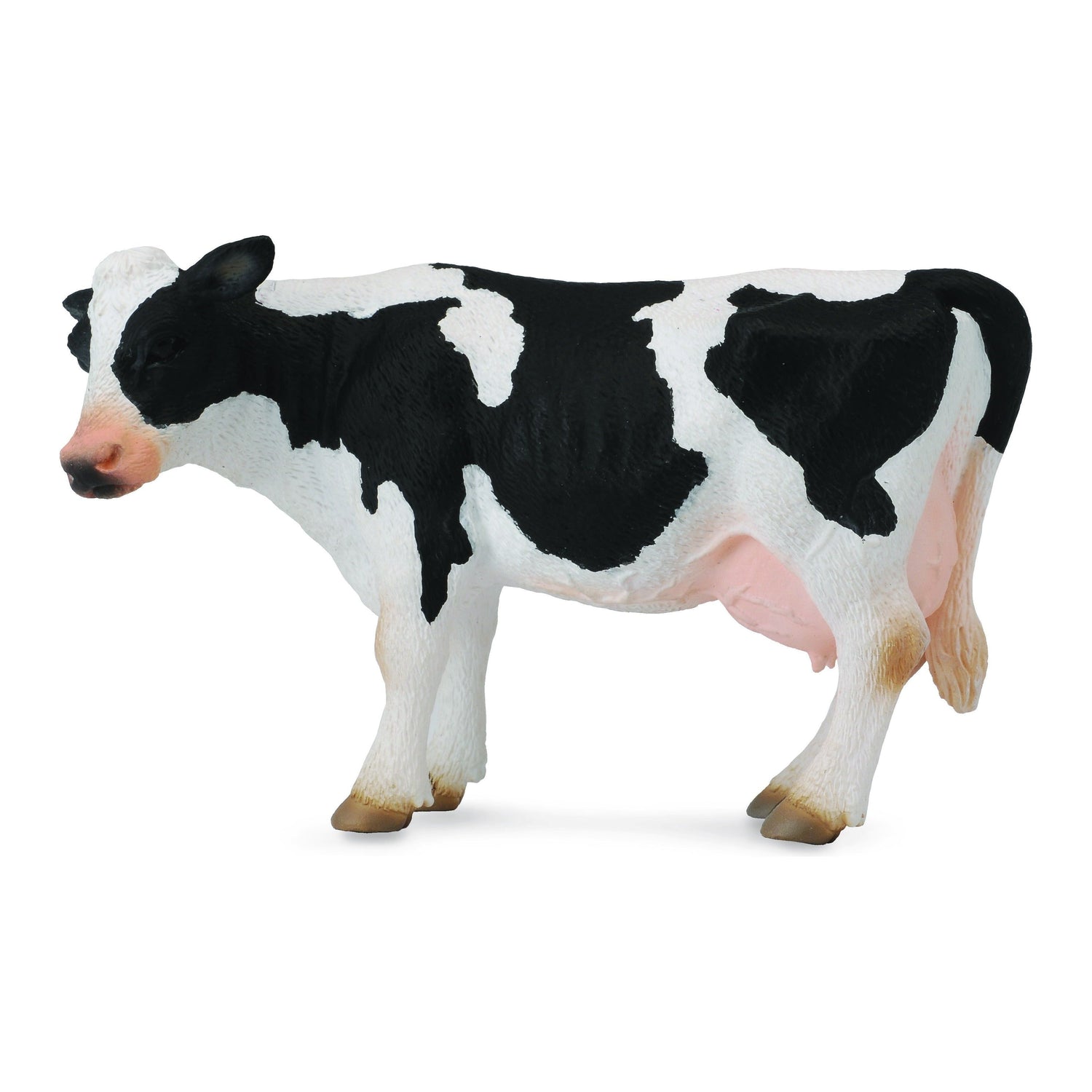 Friesian cow