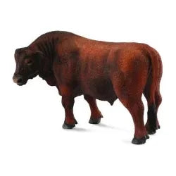 Angus Bull Collecta