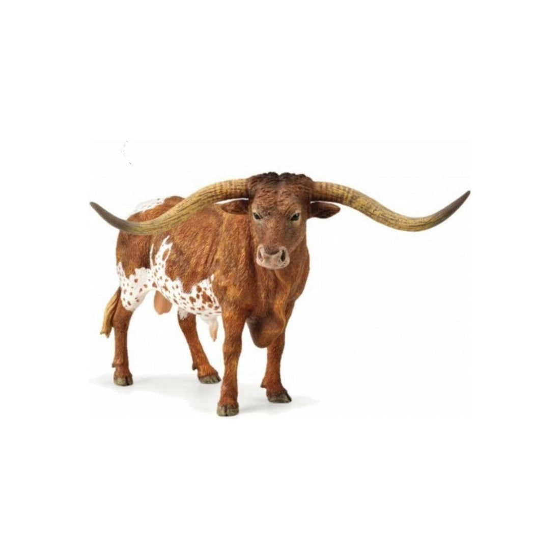 TEXAS LONGHORN BULL